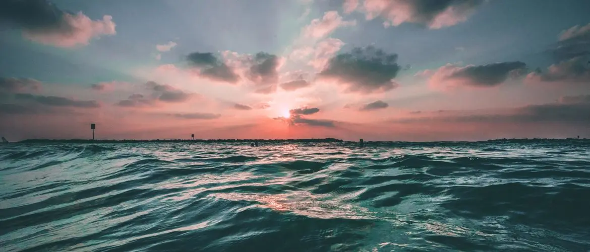 pexels-photo-27244-1170x501